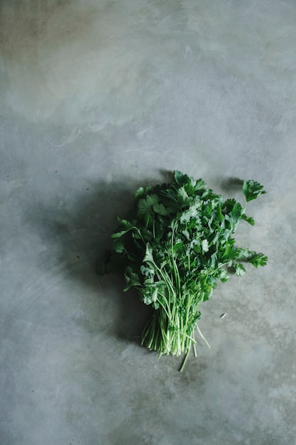 Wiązka cilantro na betonowym stole