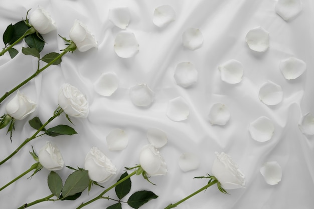 Widok delikatnych białych kwiatów róży