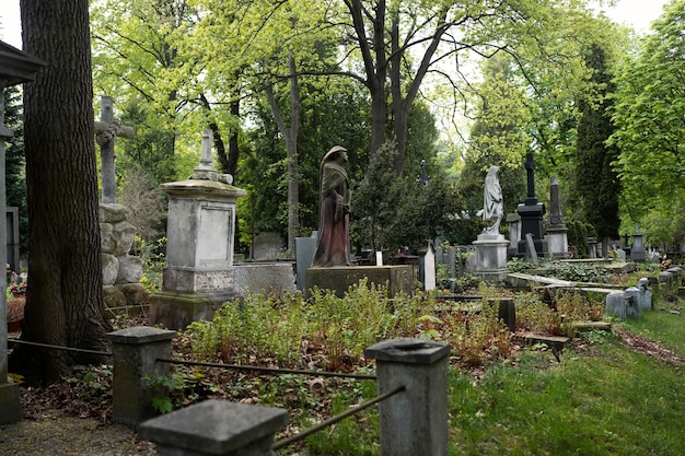 Widok grobów na cmentarzu