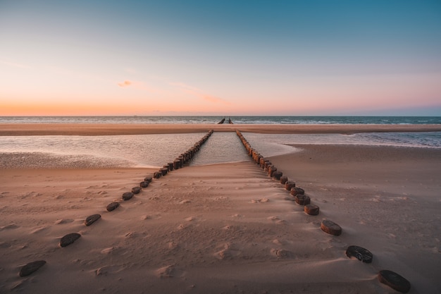 Bezpłatne zdjęcie widok kłód drewna pokrytych piaskiem na plaży zrobiony w oostkapelle w holandii