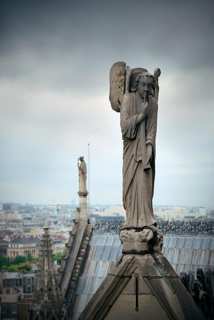 Widok na dach Paryża z katedry Notre-Dame.