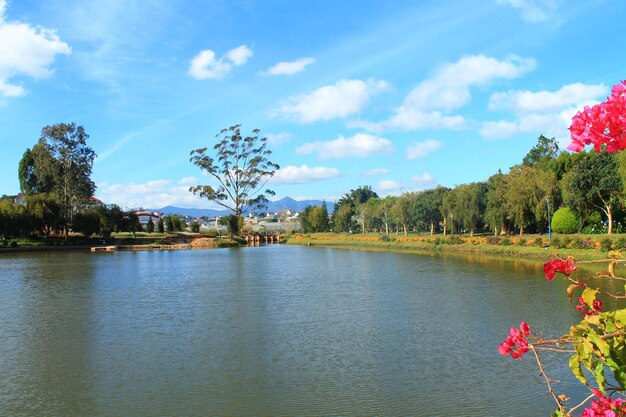Widok na jezioro z pięknym drzewem i błękitnym niebem. da lat, wietnam