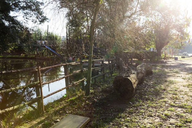 Widok na las i staw na zachód słońca