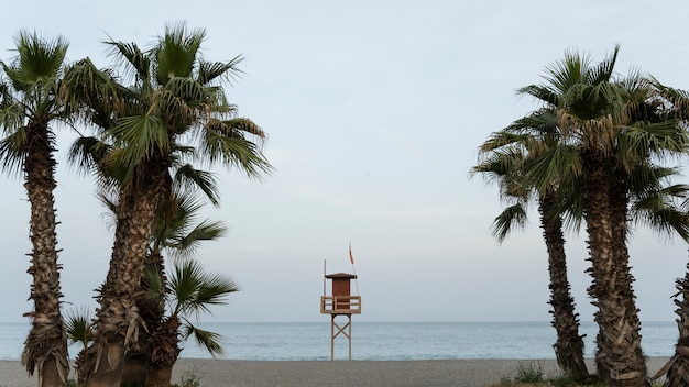 Widok na morze z wieżą ratowniczą i palmami