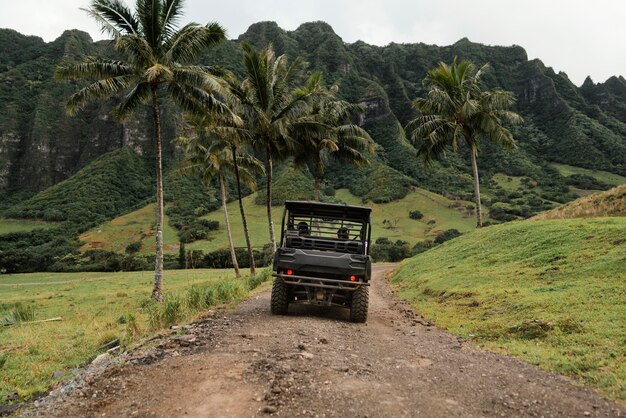 Widok na panoramę samochodu jeep na hawajach