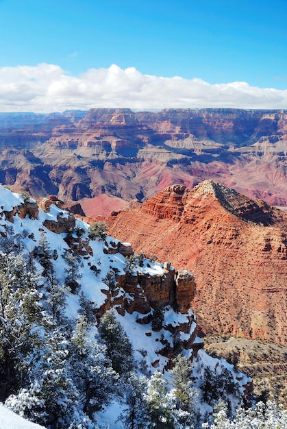 Bezpłatne zdjęcie widok na panoramę wielkiego kanionu zimą ze śniegiem