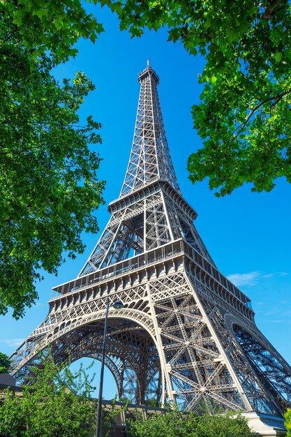 Widok na Wieżę Eiffla i drzewa w Paryżu