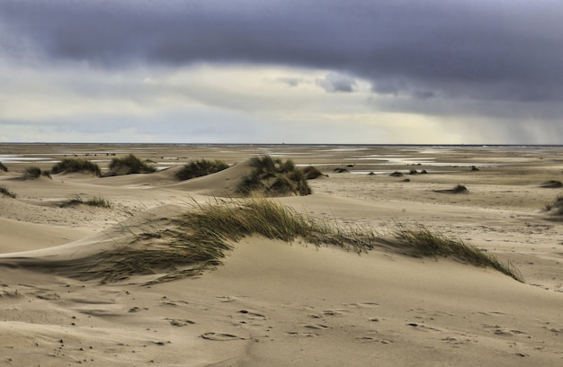 Widok na wydmy na wyspie Amrum, Niemcy pod zachmurzonym niebem