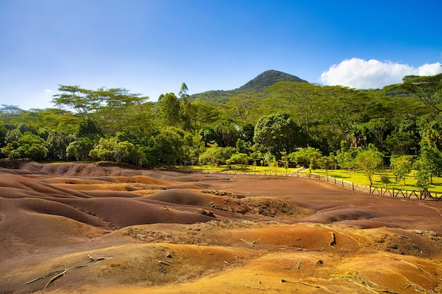 Widok na wydmy w Seven Coloured Earth otoczonej drzewami na Mauritiusie