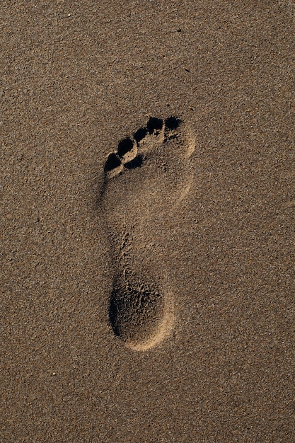 Bezpłatne zdjęcie widok piasku na plaży w lecie z śladami stóp