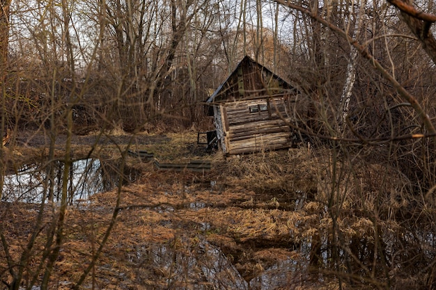 Bezpłatne zdjęcie widok starego i opuszczonego domu w przyrodzie