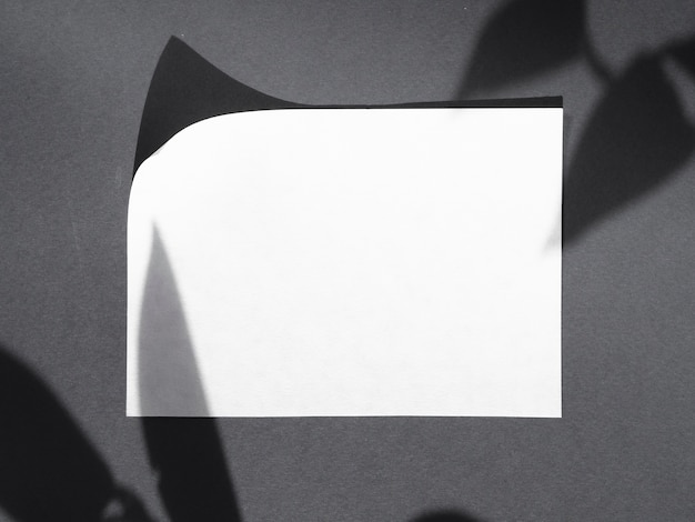 Widok z góry białego papieru z cieniami
