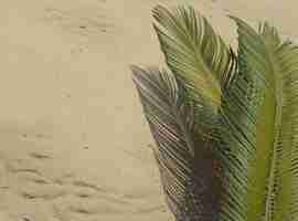 Bezpłatne zdjęcie widok z góry kompozycja 3d zielonych liści palmowych