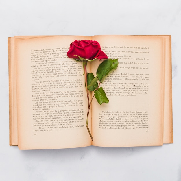 Bezpłatne zdjęcie widok z góry książki i róża