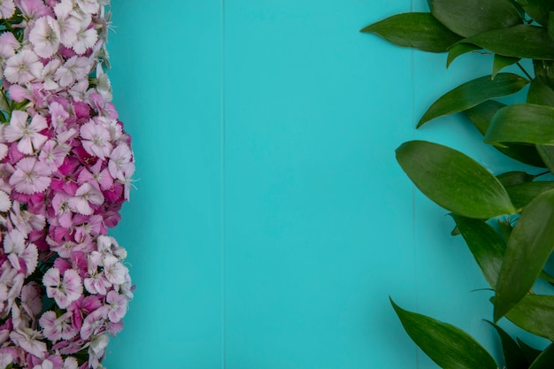 Bezpłatne zdjęcie widok z góry kwiatów o jasnoróżowych odcieniach z liśćmi na jasnoniebieskiej powierzchni