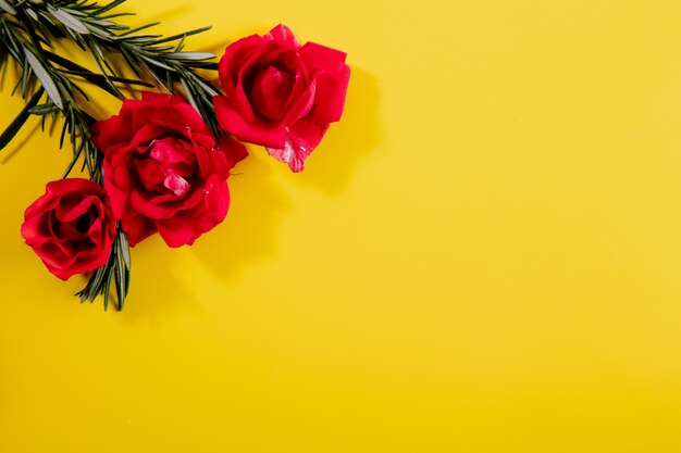 Widok z góry miejsca kopiowania oddziałów rozmarynu z różowymi różami na żółtym tle