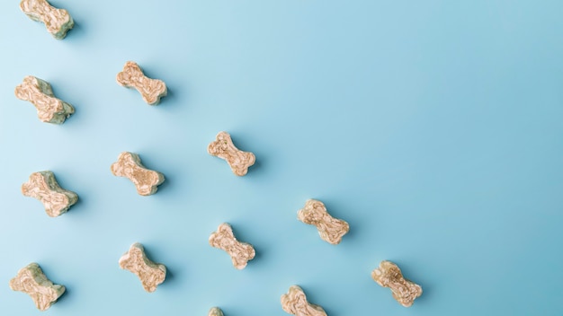 Widok z góry na smakołyki w kształcie kości dla małego psa