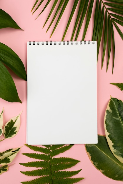 Widok z góry notebooka z asortymentem liści roślin