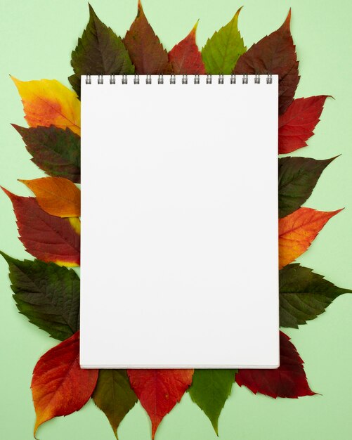 Widok z góry notebooka z liści jesienią