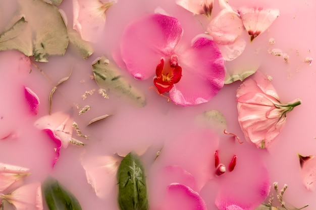 Bezpłatne zdjęcie widok z góry różowe kwiaty w różowo zabarwionej wodzie
