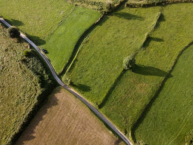 Widok z góry spokojna zielona kraina?