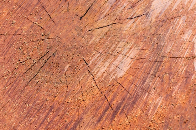 Widok z góry tekstury drewna