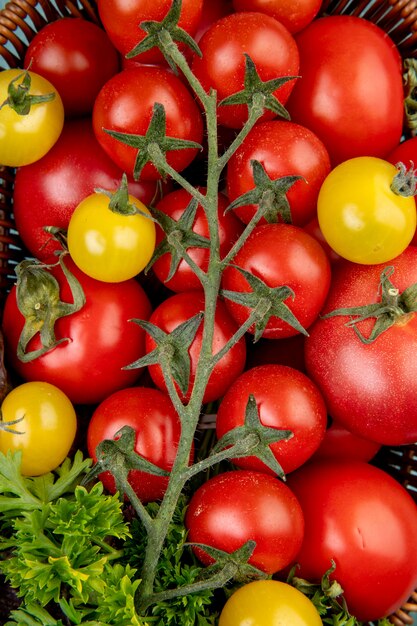 Widok z góry warzyw jak pomidory i kolendra w koszu