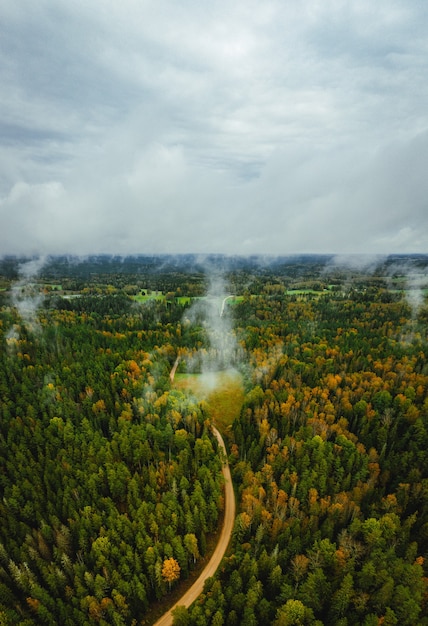 Widok z lotu ptaka na drogę przez gęsty las w jesienny dzień