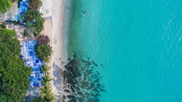 Widok z lotu ptaka na piaszczystą plażę z pływającymi turystami.