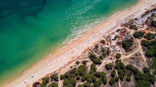 Bezpłatne zdjęcie widok z lotu ptaka na plażę algarve. piękna plaża falesia z góry w portugalii. letnie powołanie