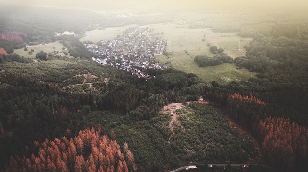 Widok z lotu ptaka na wiejskie domy wśród gęstego lasu