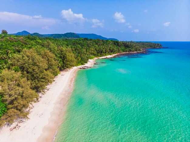 Widok z lotu ptaka piękna plaża i morze z kokosowym drzewkiem palmowym