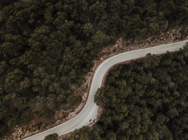 Widok z lotu ptaka pusta droga otaczająca zielonymi iglastymi drzewami