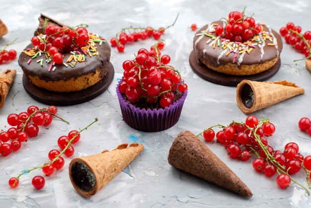 Widok z przodu ciasta czekoladowe z pączkami zaprojektowane z owocami i rogami na białym tle Cake biscuit doughnut chocolate