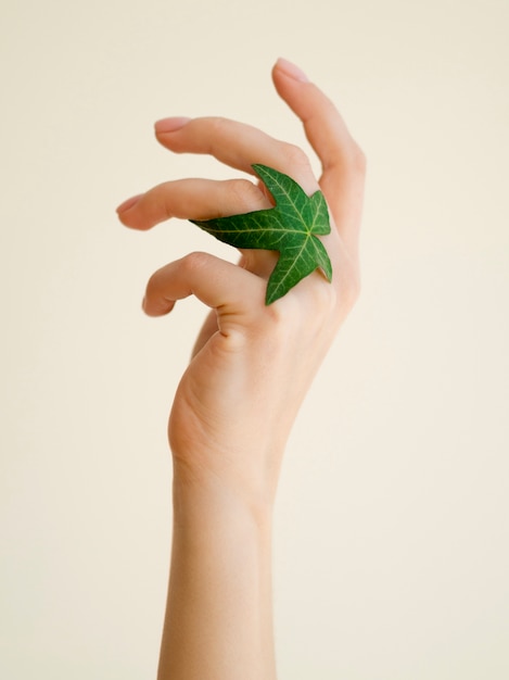 Widok z przodu dłoni z zielonym liściem