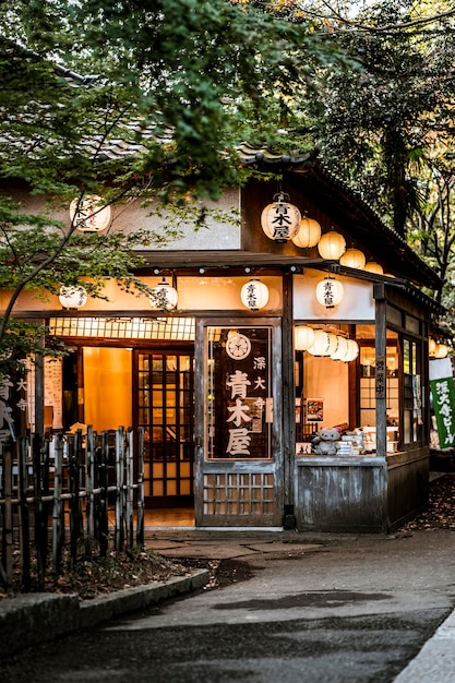 Bezpłatne zdjęcie widok z przodu japońskiej konstrukcji z latarniami i naturą