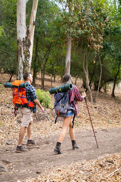 Bezpłatne zdjęcie widok z tyłu młodych ludzi pieszych w lesie w słoneczny dzień. podróżni i przyjaciele spacerujący z plecakami po lesie. kobieta trzyma słup. koncepcja turystyki z plecakiem, przygody i wakacji letnich