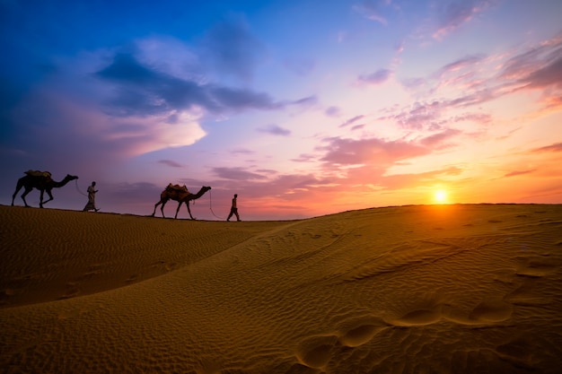 Wielbłąd indyjski cameleers kierowca z wielbłąda sylwetki w wydmy na zachód słońca. jaisalmer, radżastan, indie