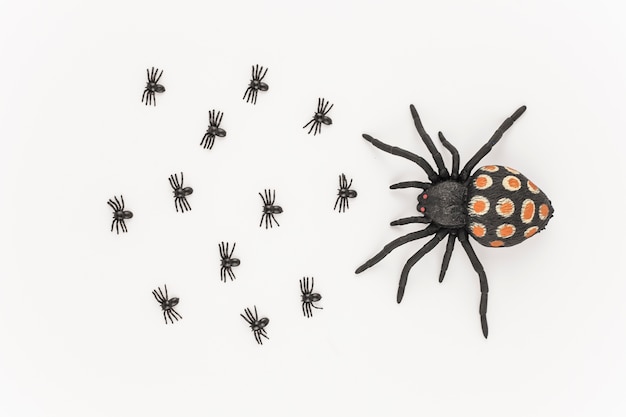 Bezpłatne zdjęcie wielki pająk z maluchami