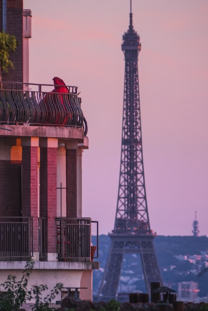 Wieża Eiffla, Paryż Francja podczas zachodu słońca