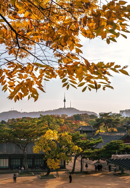 Wieża Namsan i Changkyunggung z jesiennymi liśćmi na pierwszym planie gałęzi drzew w Seulu w Korei