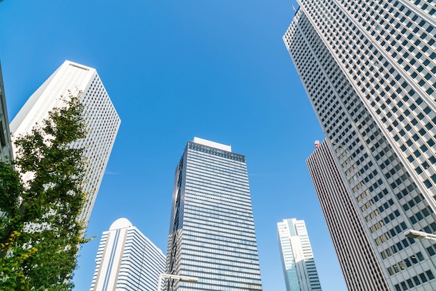 Wieżowce i błękitne niebo - Shinjuku, Tokio