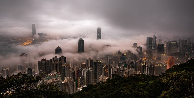 Wieżowce miasta pokryte mgłą