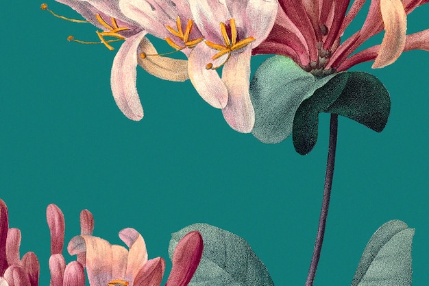 Wiosenny kwiatowy tło z ilustracją wiciokrzewu, zremiksowany z dzieł należących do domeny publicznej