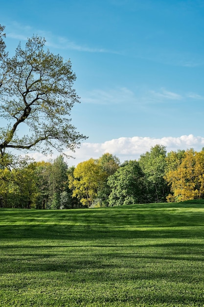 Wiosenny park świeżo ścięty trawnik w tle pionowej ramki lub pomysł na tapetę