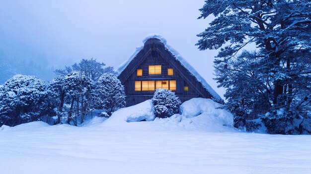 Wioska Shirakawa-go zimą, Japonia.