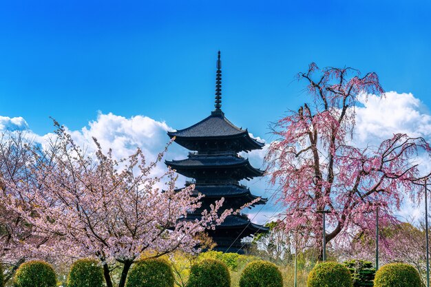 Wiśniowe kwiaty i pagoda na wiosnę, Kioto w Japonii.