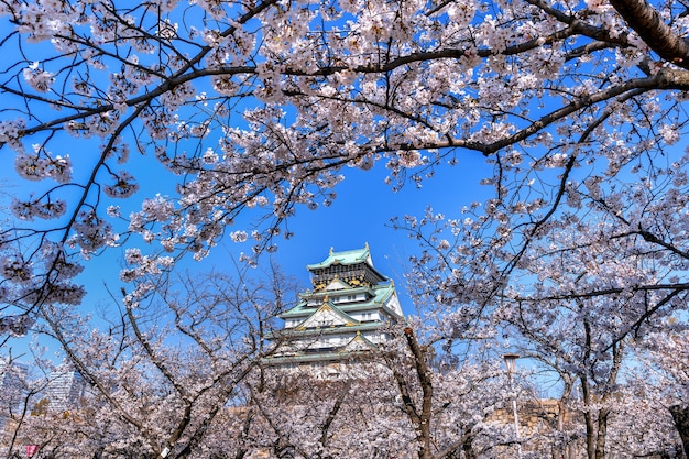 Bezpłatne zdjęcie wiśniowe kwiaty i zamek w osace w japonii.