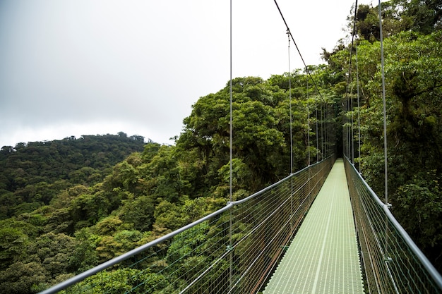 Wiszący most w tropikalnym lesie deszczowym przy Costa Rica
