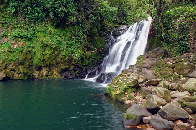 Wodospad Cascada De Texolo w Xico w Meksyku